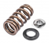 APR VALVE SPRINGS/SEATS/RETAINERS - SET OF 32